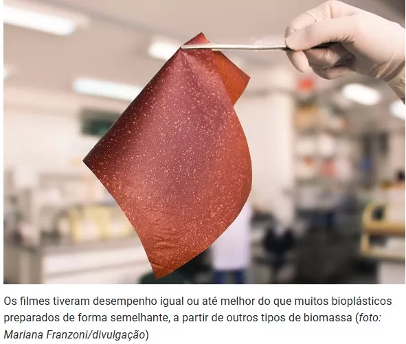 Cientistas convertem casca de banana a embalagem biodegradável para alimentos