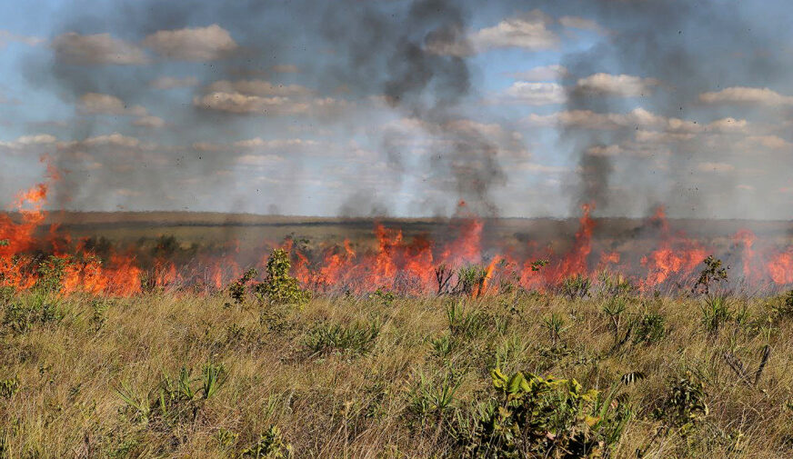 Governo do Tocantins suspende a emissão e a vigência das autorizações de queima controlada em todo o Tocantins